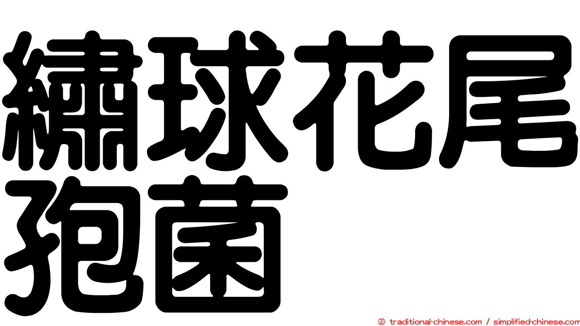 繡球花尾孢菌