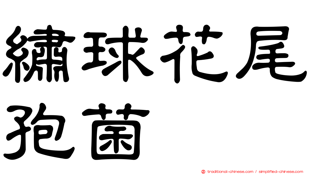 繡球花尾孢菌