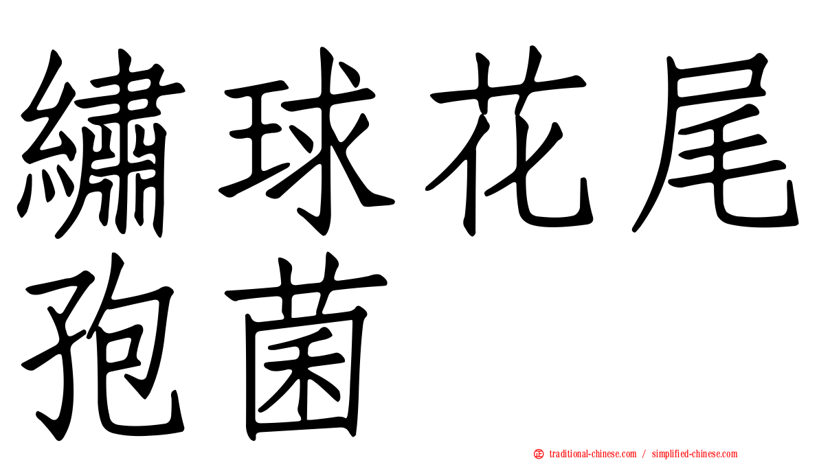 繡球花尾孢菌
