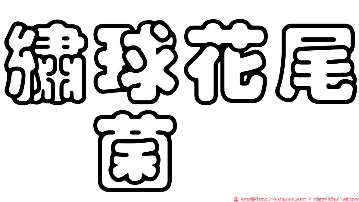 繡球花尾孢菌