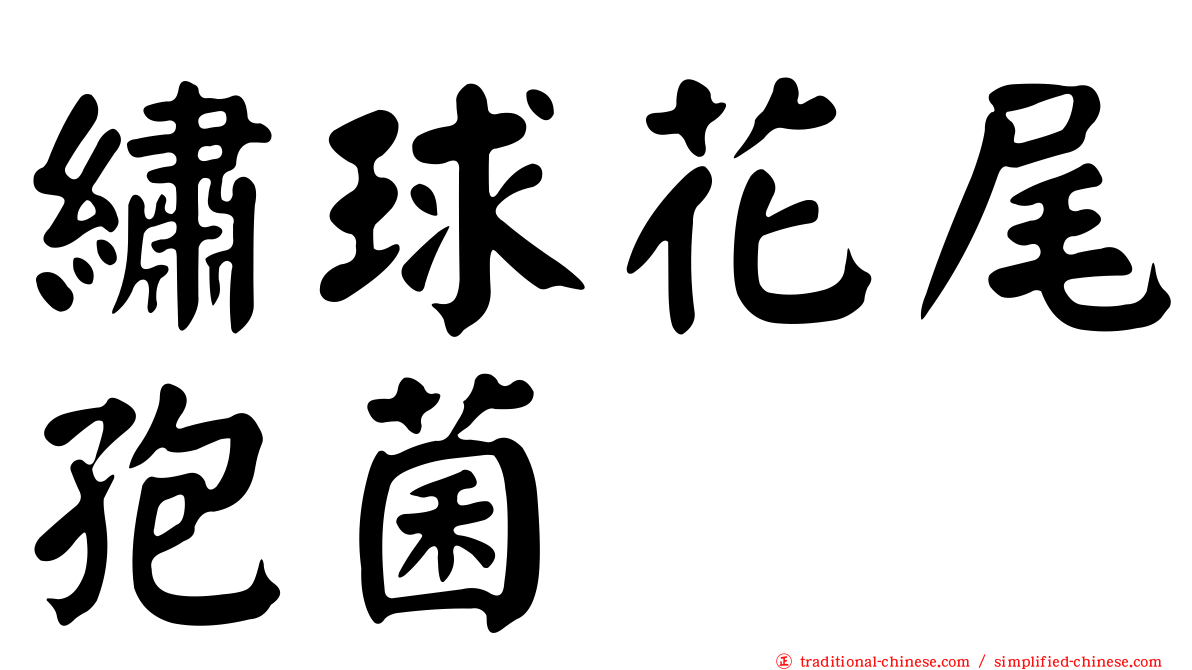繡球花尾孢菌