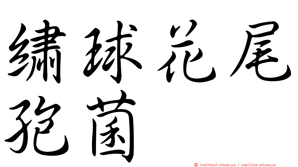 繡球花尾孢菌