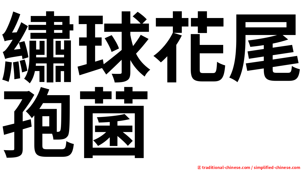 繡球花尾孢菌