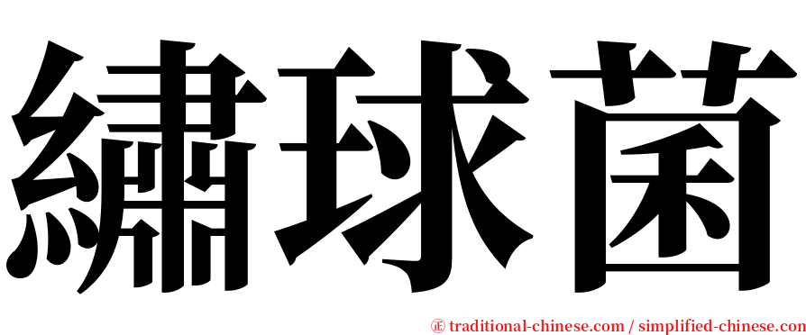 繡球菌 serif font