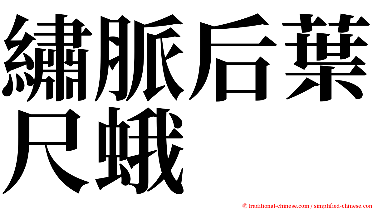 繡脈后葉尺蛾 serif font