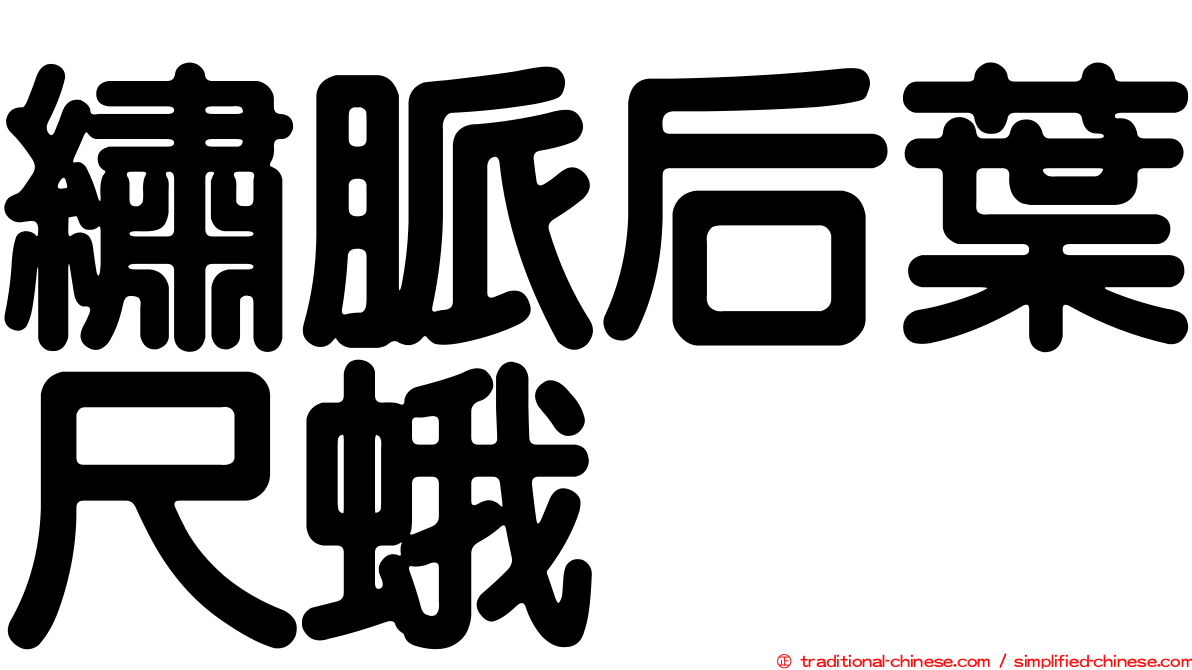 繡脈后葉尺蛾