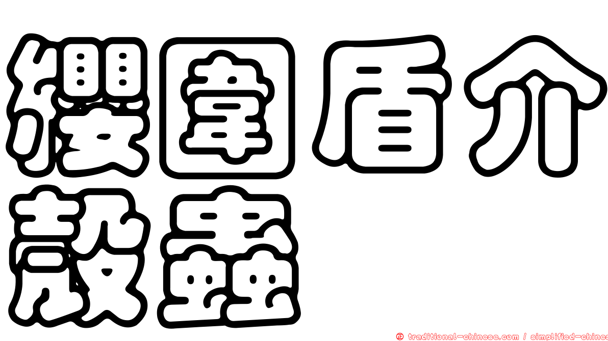 纓圍盾介殼蟲