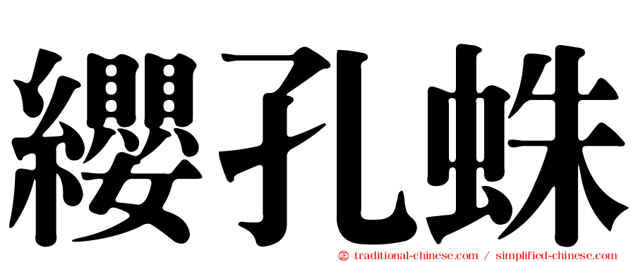 纓孔蛛
