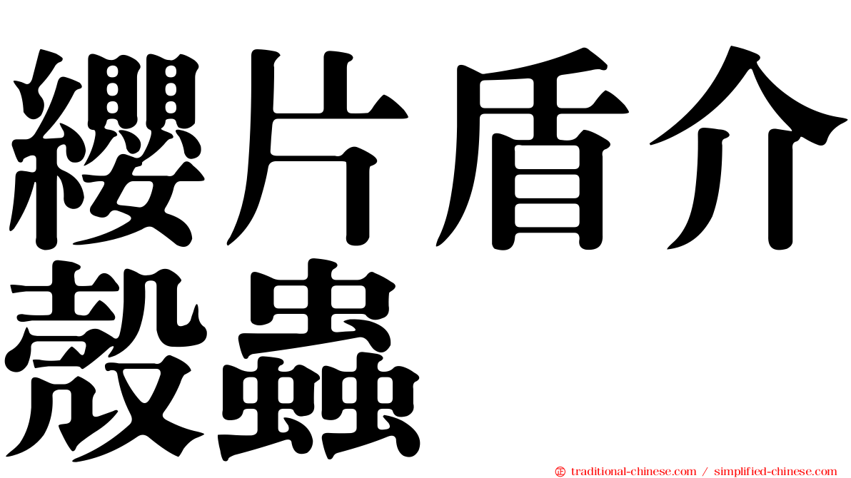 纓片盾介殼蟲