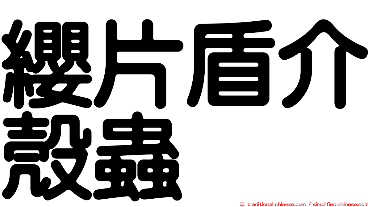 纓片盾介殼蟲