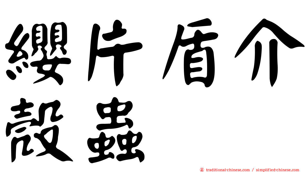 纓片盾介殼蟲