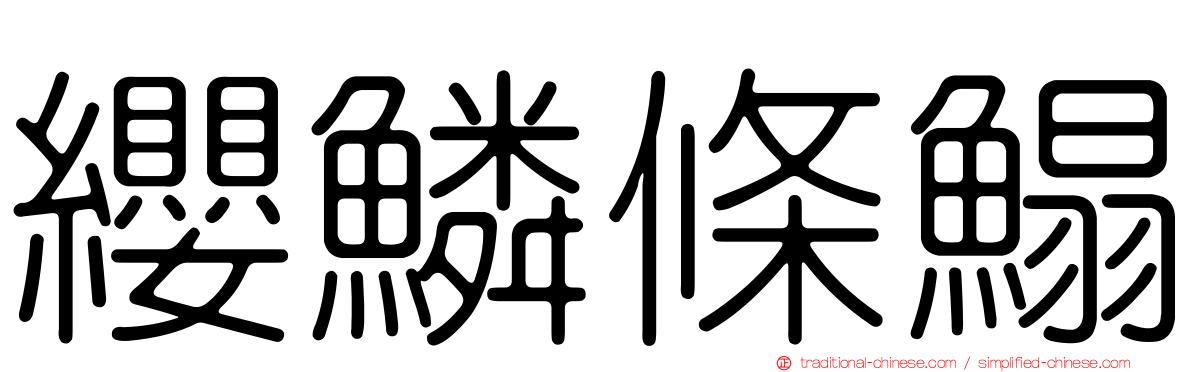 纓鱗條鰨
