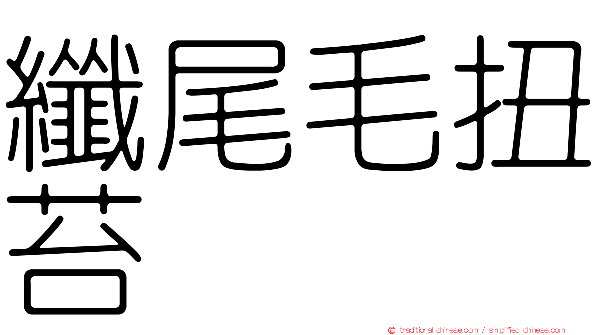纖尾毛扭苔
