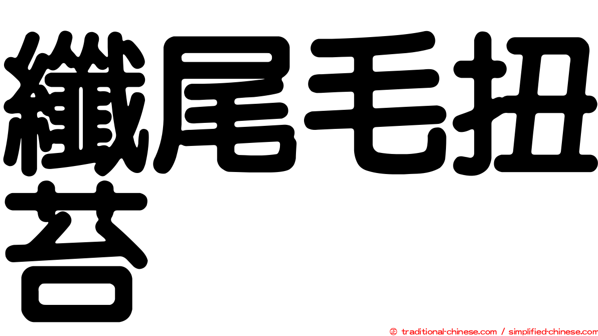 纖尾毛扭苔