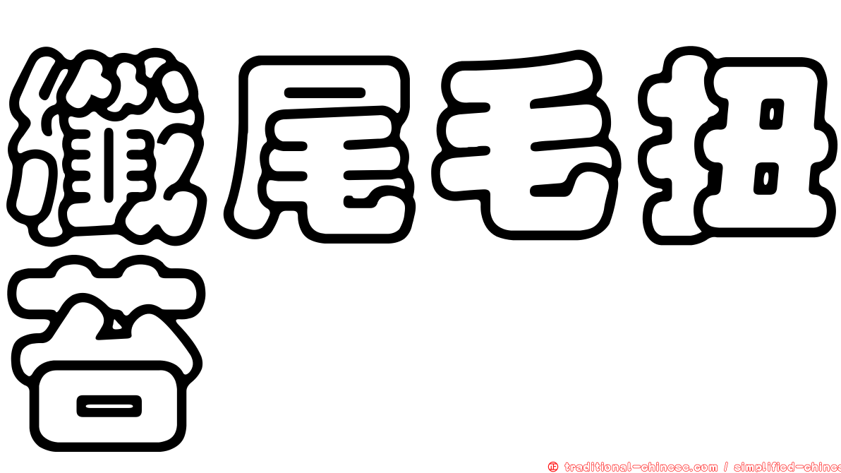 纖尾毛扭苔