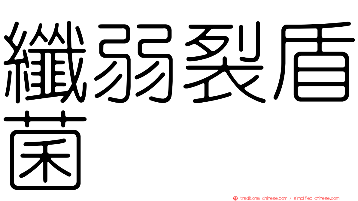 纖弱裂盾菌