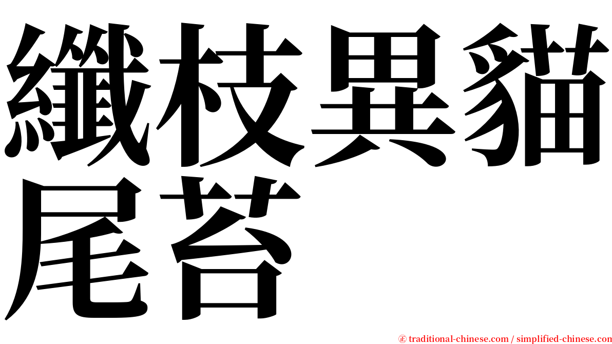 纖枝異貓尾苔 serif font