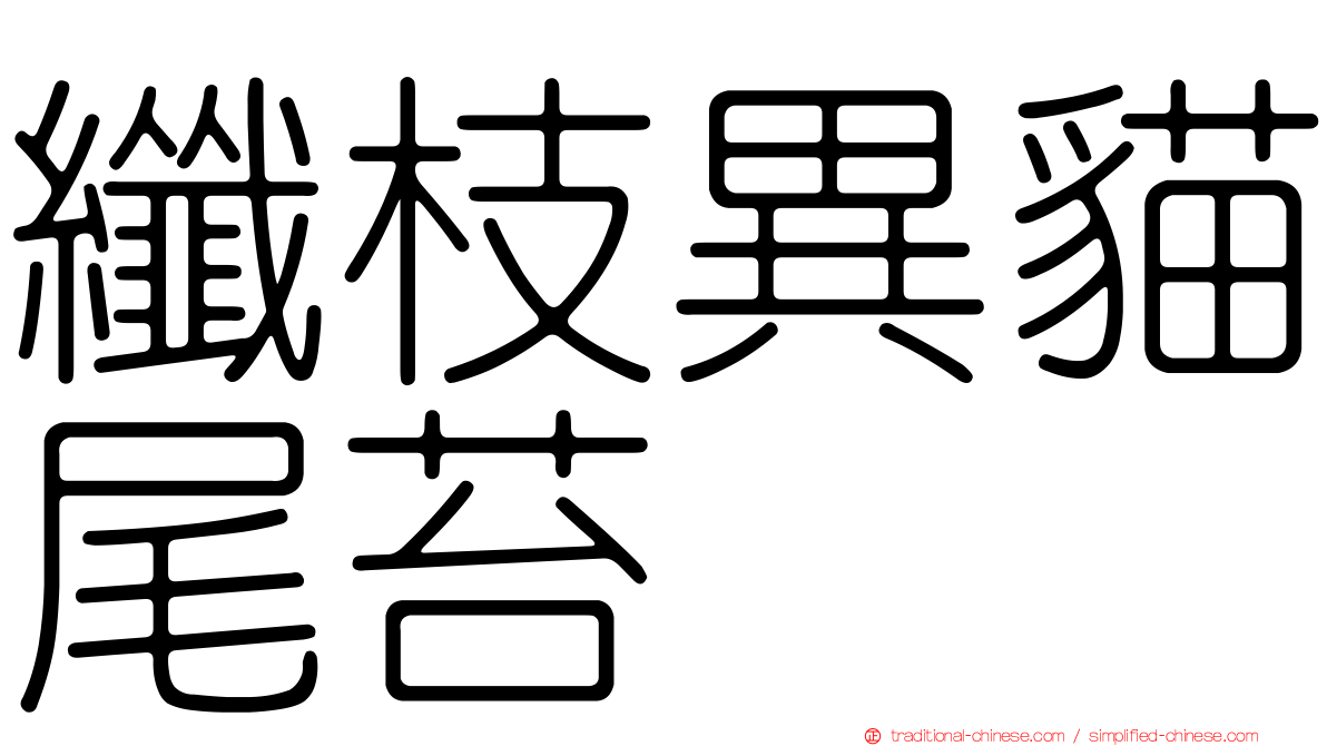 纖枝異貓尾苔