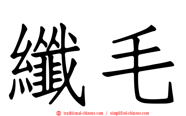 纖毛