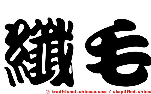 纖毛
