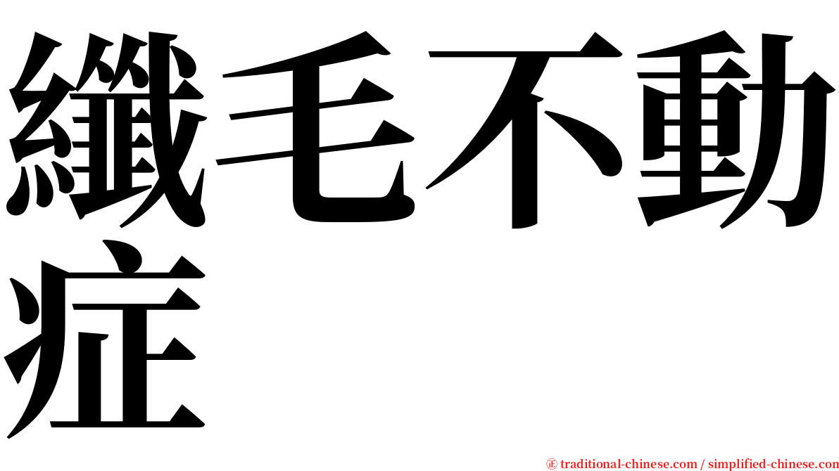 纖毛不動症 serif font