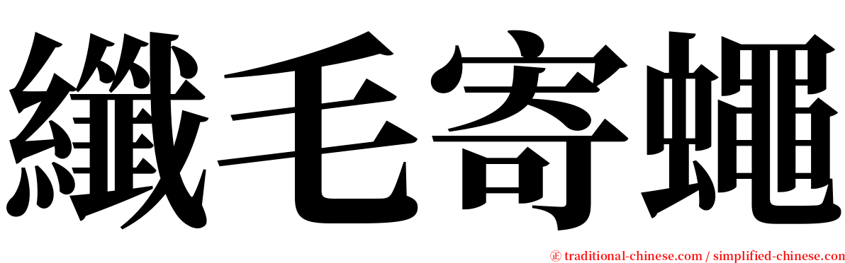 纖毛寄蠅 serif font