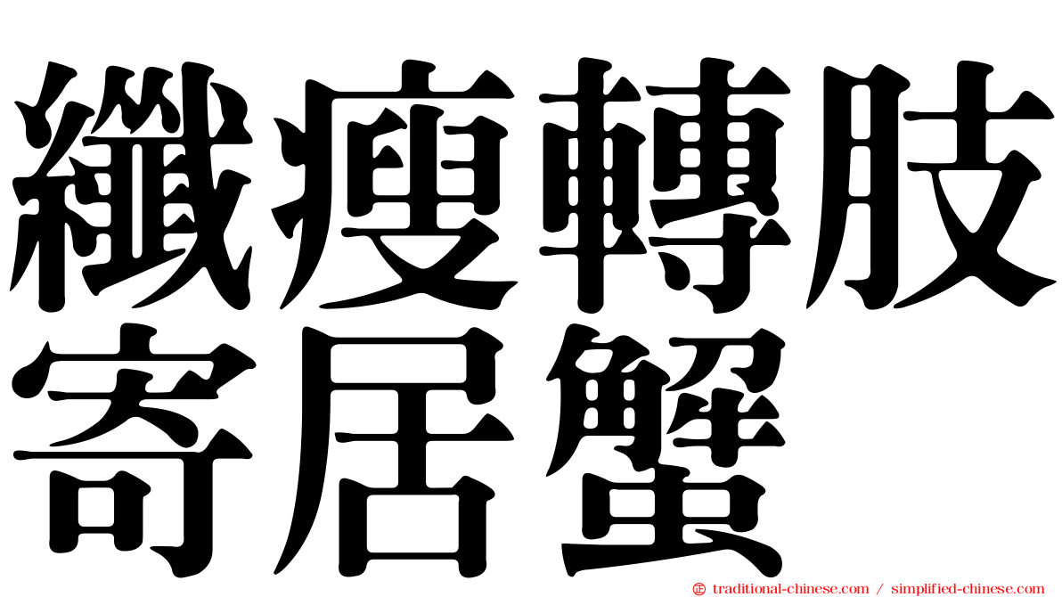 纖瘦轉肢寄居蟹