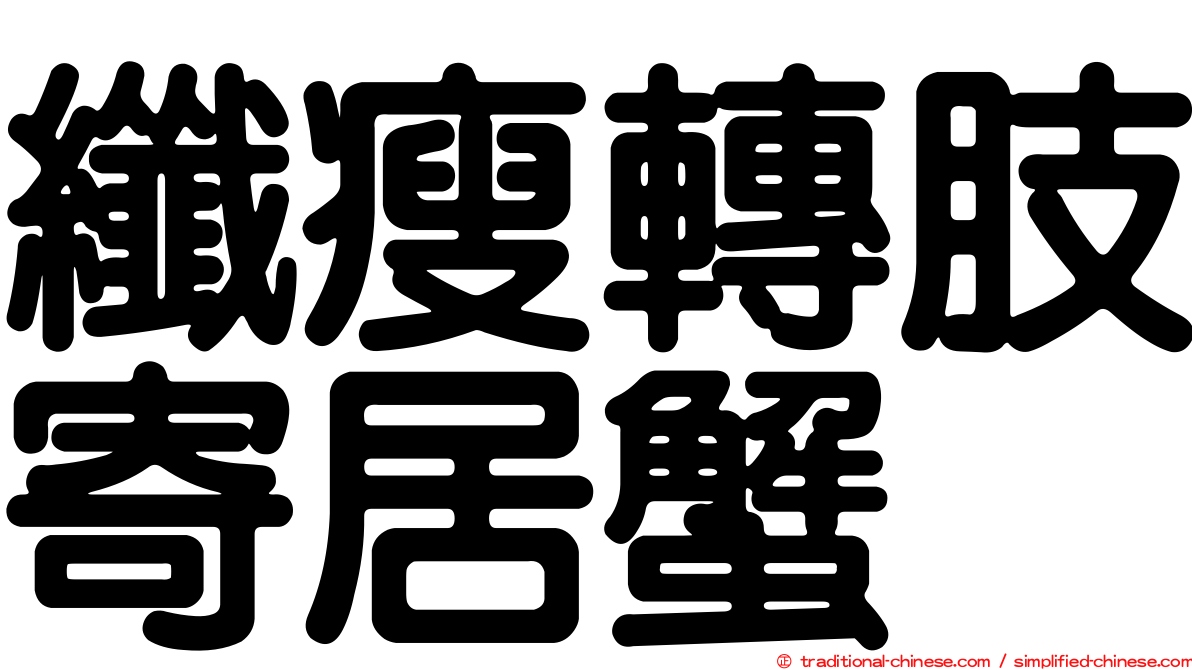 纖瘦轉肢寄居蟹