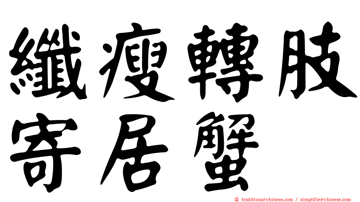 纖瘦轉肢寄居蟹