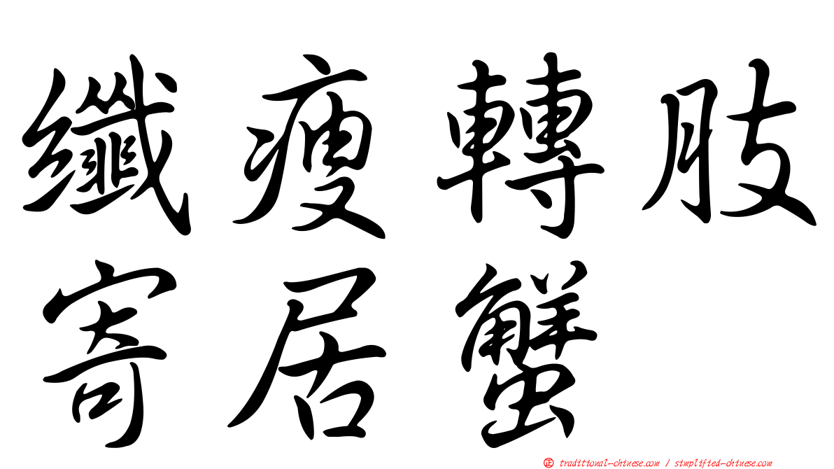 纖瘦轉肢寄居蟹
