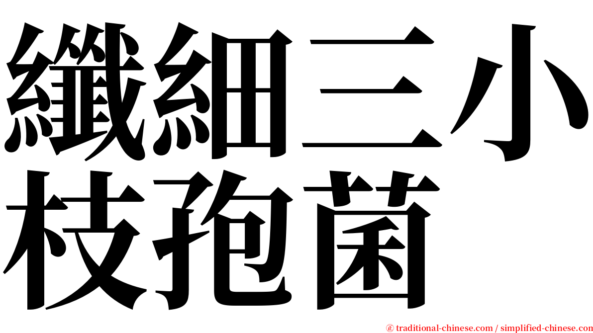 纖細三小枝孢菌 serif font