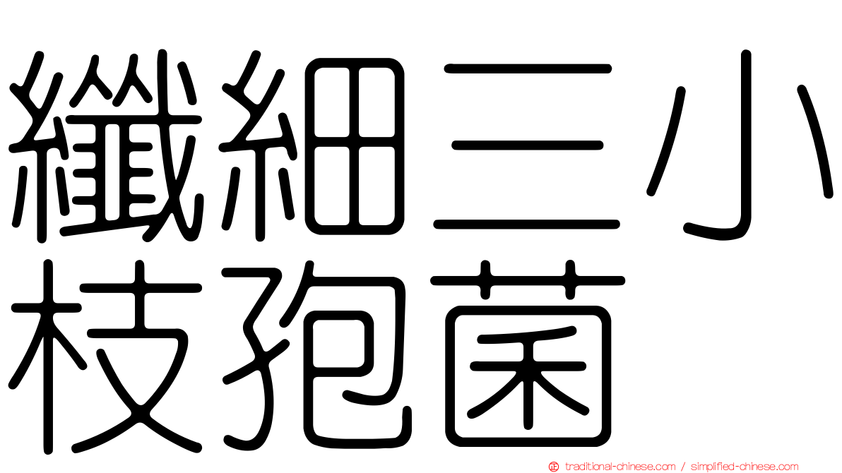 纖細三小枝孢菌