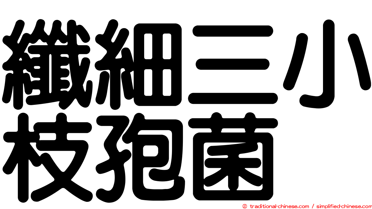纖細三小枝孢菌