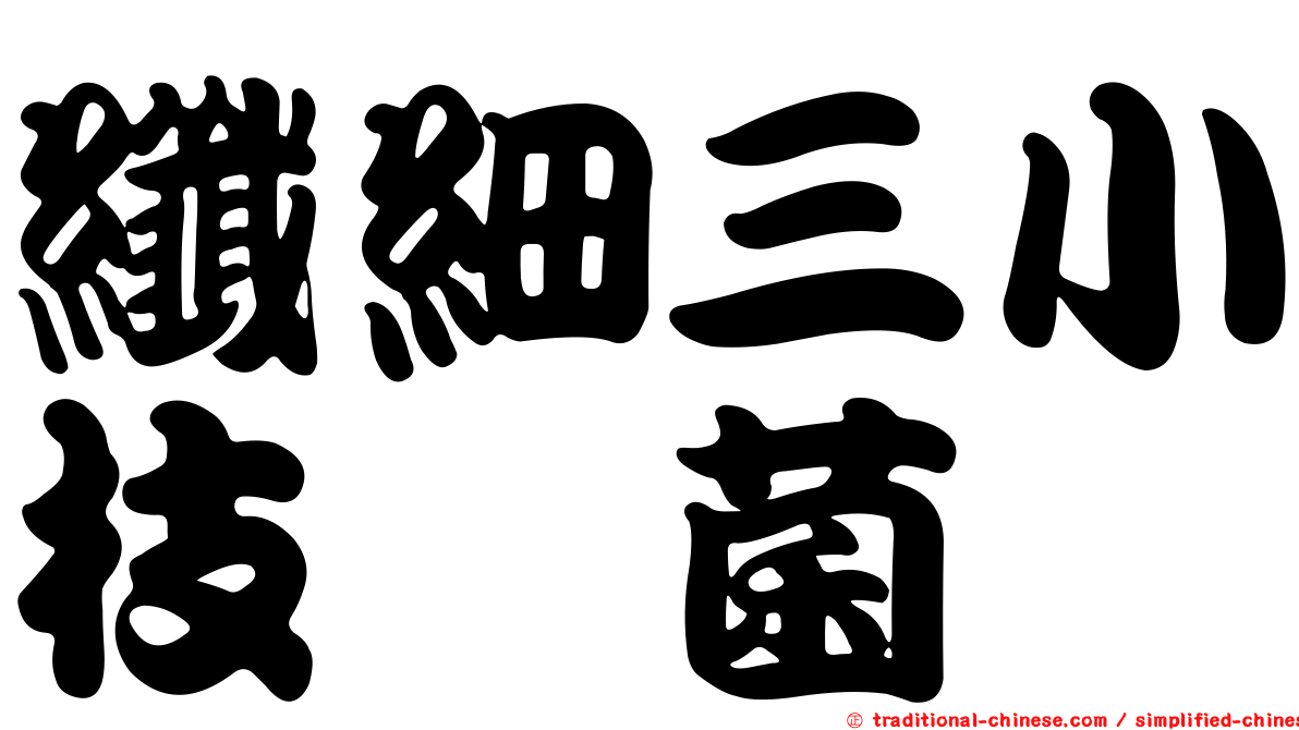 纖細三小枝孢菌