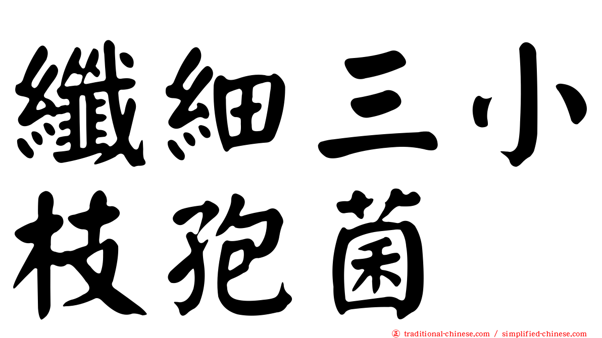 纖細三小枝孢菌