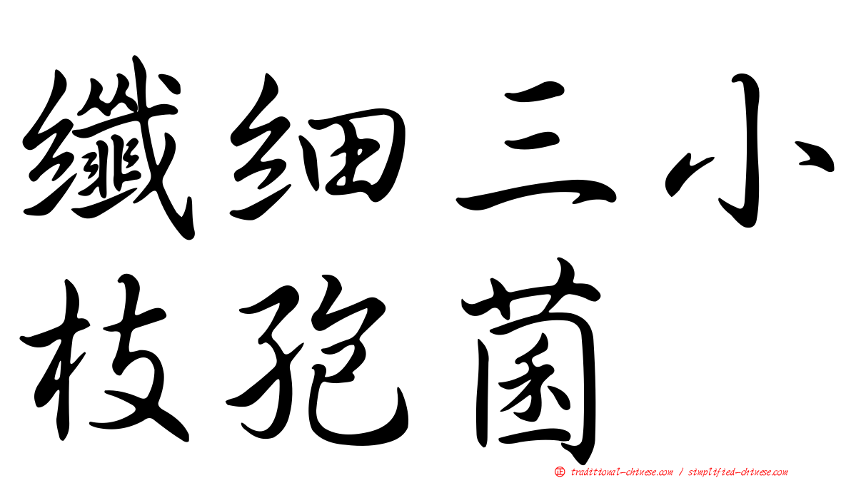 纖細三小枝孢菌