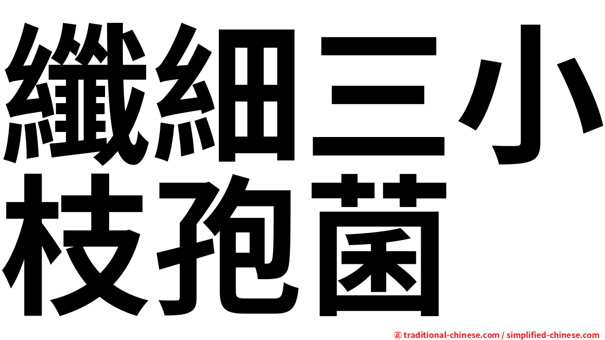 纖細三小枝孢菌