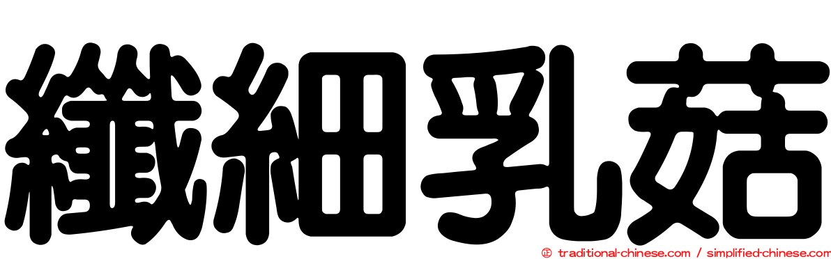 纖細乳菇