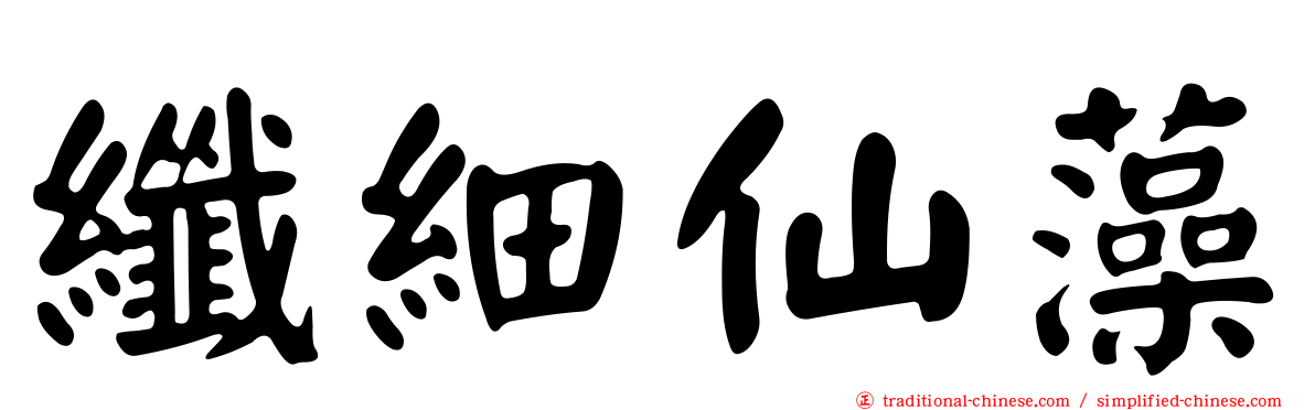纖細仙藻