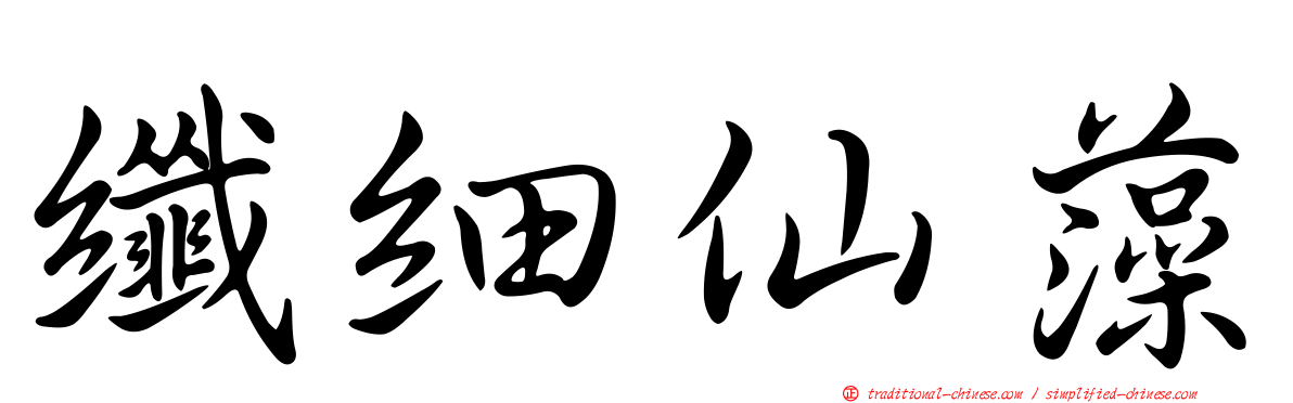 纖細仙藻