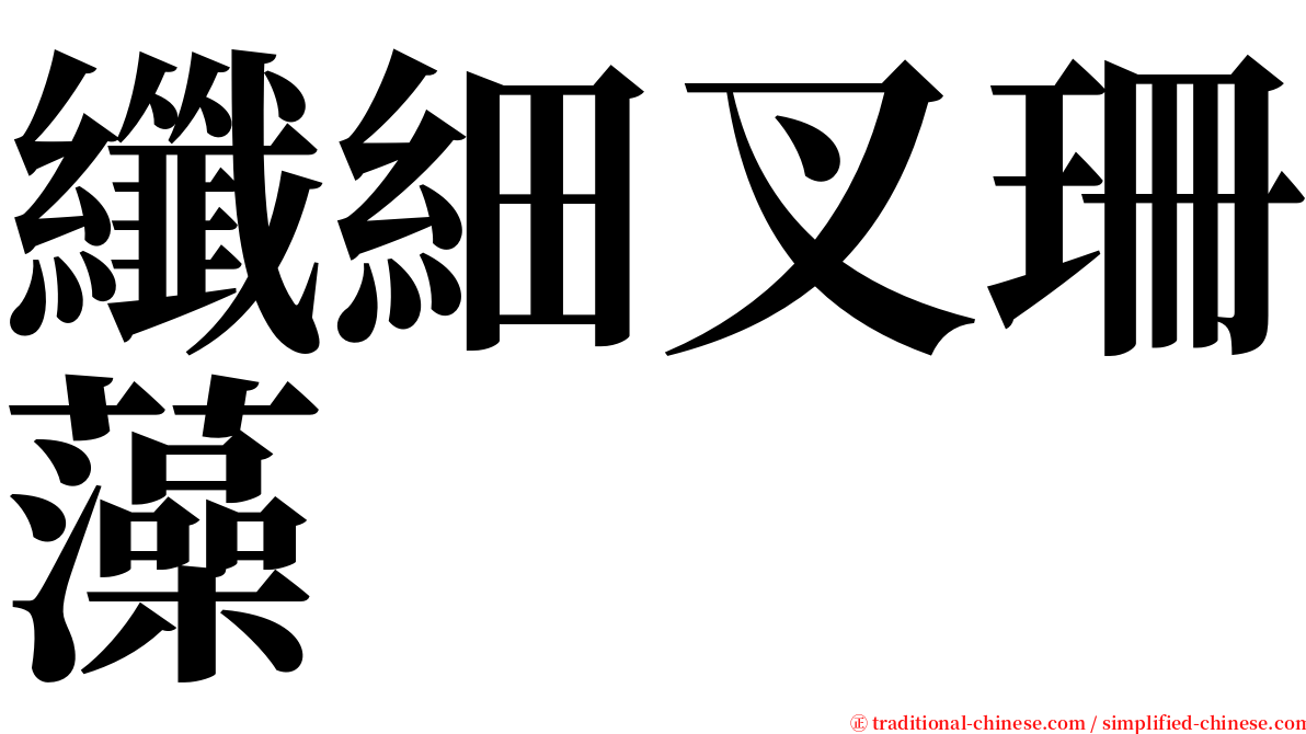 纖細叉珊藻 serif font