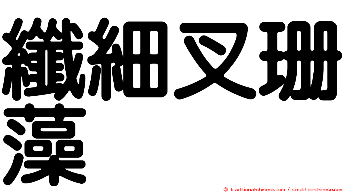 纖細叉珊藻