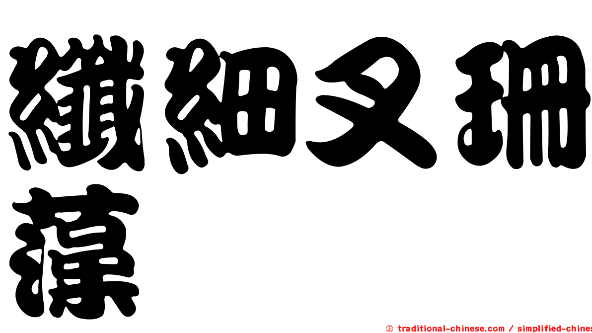 纖細叉珊藻
