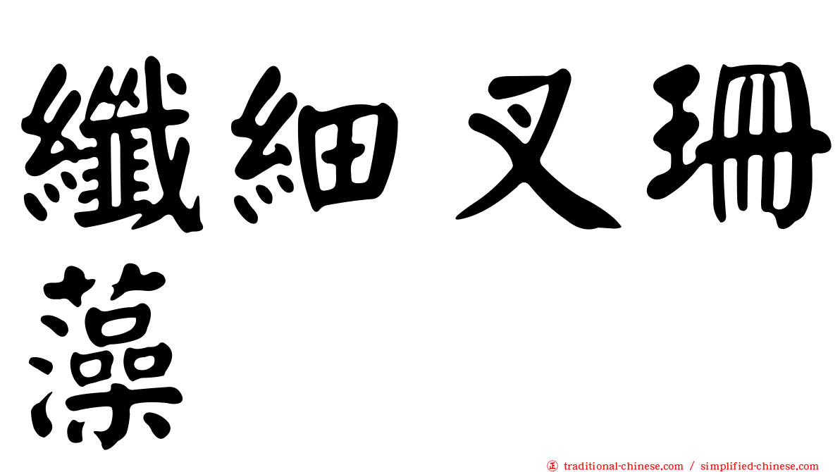 纖細叉珊藻