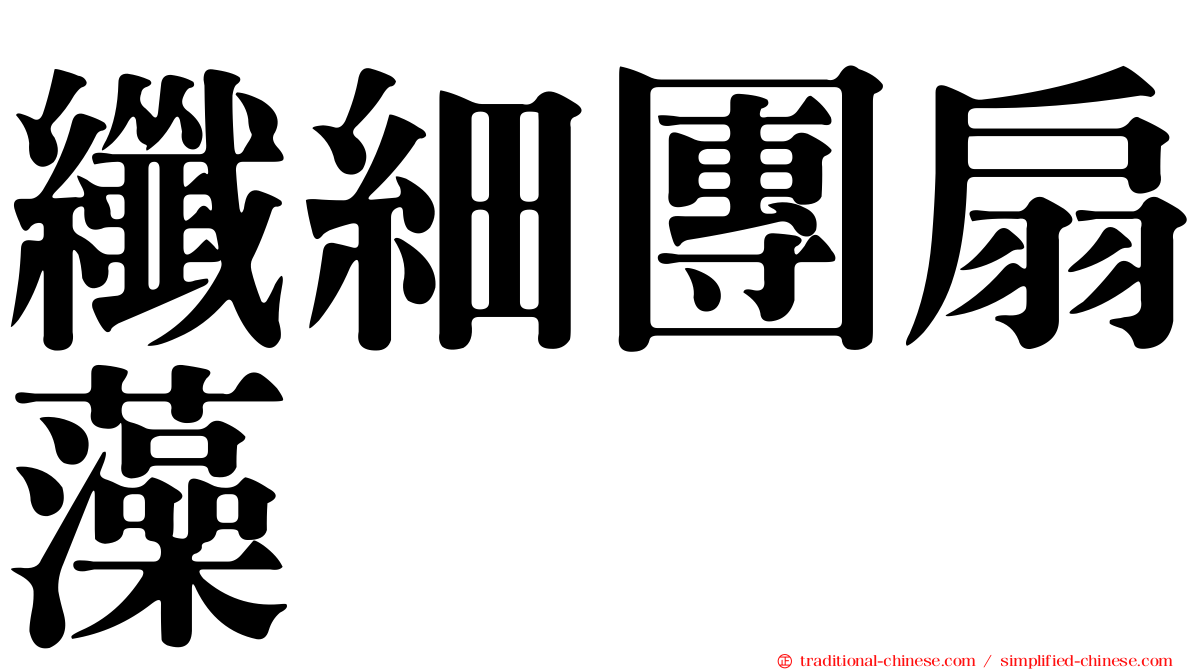 纖細團扇藻