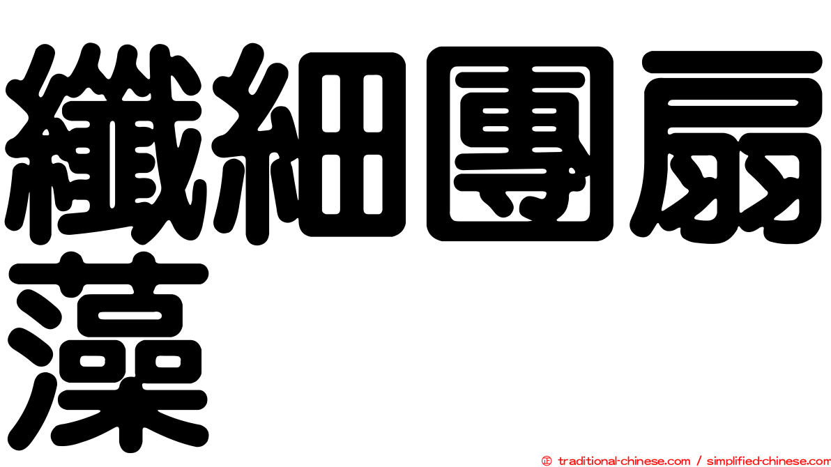 纖細團扇藻