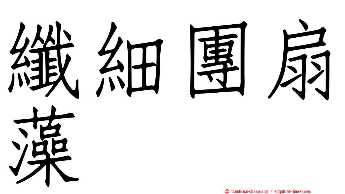 纖細團扇藻