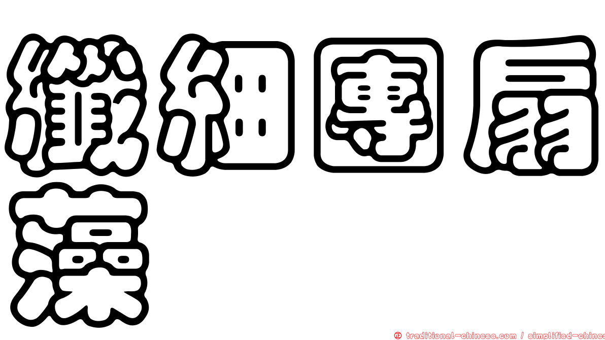 纖細團扇藻