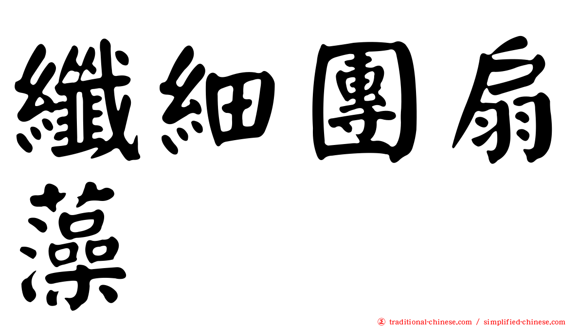 纖細團扇藻