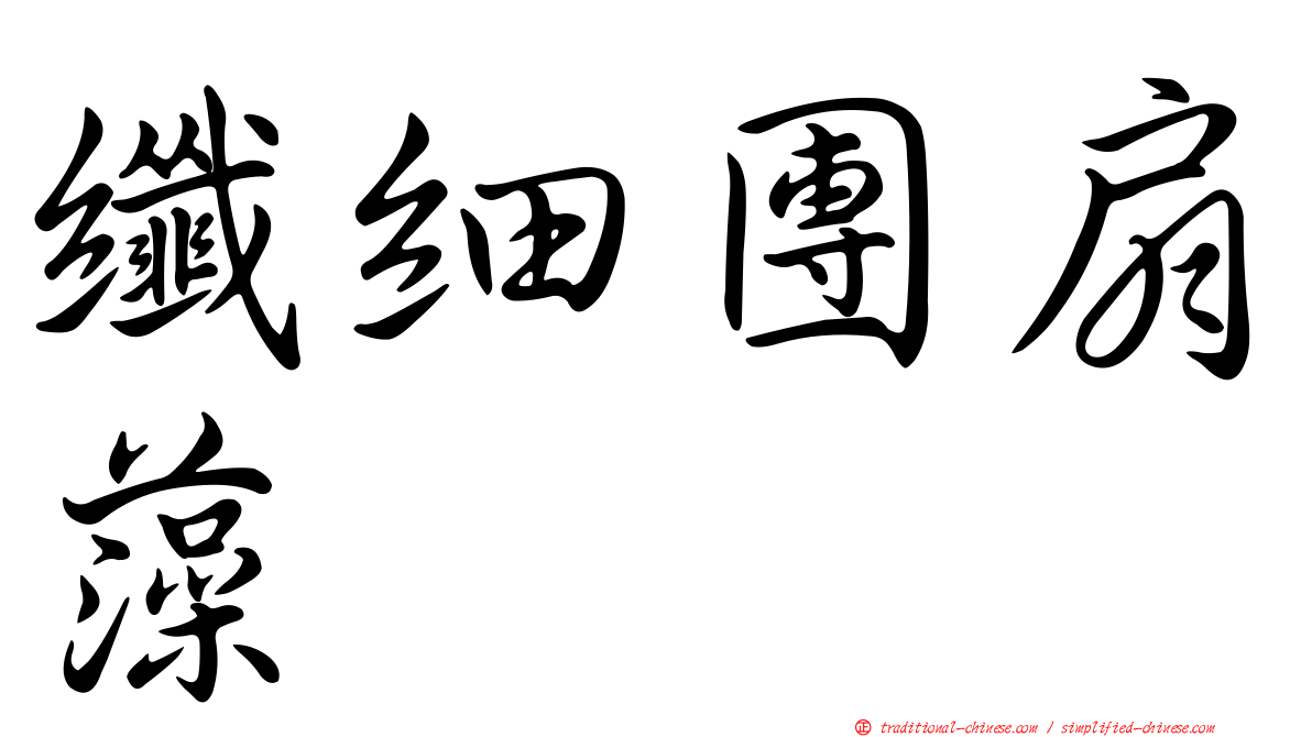 纖細團扇藻